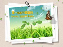 Schmetterling grünes Gras Folie Hintergrundvorlagev