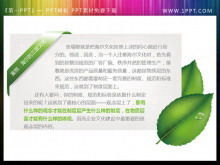 Exquisite leaf decoration slide text box material