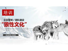 Download PPT di formazione del team di gestione aziendale solo per la "cultura del lupo"