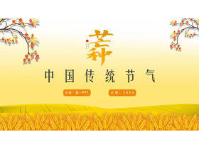 Template PPT istilah matahari spesies mangga dengan latar belakang ladang gandum emas