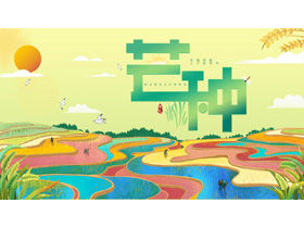 芒果種子節氣PPT模板全彩稻田背景