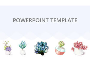 Простой и свежий шаблон сводного отчета в европейском и американском стиле.