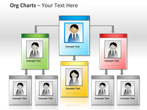 Baş resimli organizasyon şeması (6 fotoğraf)