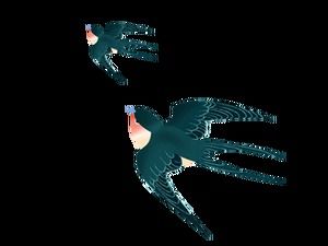 Pobierz pakiet materiałów z przezroczystym tłem jaskółki (6 zdjęć)