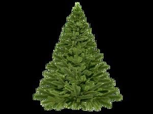 Christmas HD png صور مجانية (6 صور)