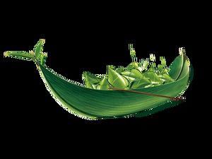 Zongzi, Dragon Boat și alte Dragon Boat Festival Imagini materiale HD gratuite (13 fotografii)