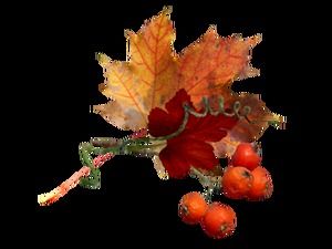 60张免费雪花冬季元素高清大图（下）