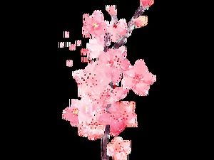 Darmowe gałęzie winorośli akwarelowe kwiaty w wysokiej rozdzielczości materiał ppt