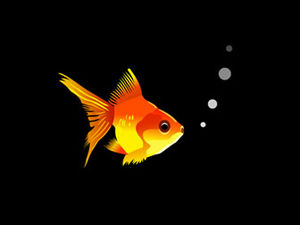 ダイナミックな音楽はとてもクールで、複数のオープニングローディングアニメーションppt特殊効果テンプレート