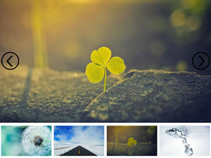 Используйте миниатюру и стрелки влево и вправо, чтобы щелкнуть, чтобы переключить шаблон альбома ppt изображения