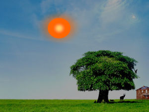 Солнце постепенно встает, небо становится ярче шаблон анимации ppt