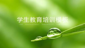 Șablon verde simplu de educație și formare generală pentru elevi