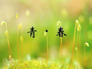 Gençlik eğitim yazılımı ppt