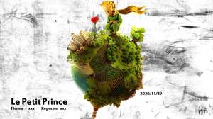 Le petit prince modèle ppt