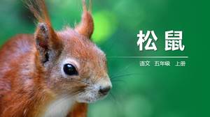 Учебный курс PPT для пятого класса