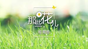 Modelo de álbum de formatura de flores e plantas verdes frescas