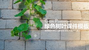 Frunze verzi de predare șablon ppt cursuri