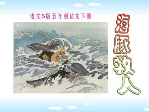 海豚拯救生命ppt课件
