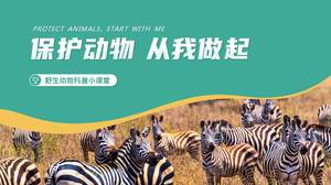 Ppt dla ochrony zwierząt