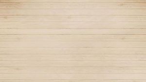 Plank wind event planning plan ppt template