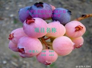 Soutenance de projet d'innovation et d'entrepreneuriat ppt