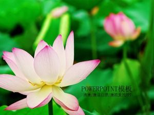 Lotus party style clean government discipline inspection and supervision work report summary PPT template
