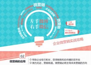 Taze ve zarif stil mikro pazarlama stratejisi PPT şablonu