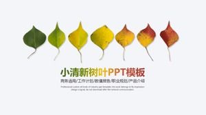 Mały świeży i prosty biznes ogólny liść dynamiczny szablon ppt