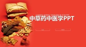 Plantilla ppt de informe de trabajo de medicina herbal china concisa en inglés