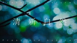 سلسلة الغابات الصغيرة الطازجة وبسيطة ألبوم الصور قالب PPT