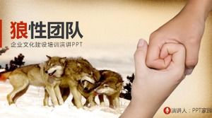 Modello conciso ppt di pubblicità per la costruzione della cultura aziendale della squadra del lupo