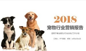 Exquisite fashion simple pet marketing ppt template