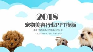 Exquisite and simple pet grooming industry ppt template