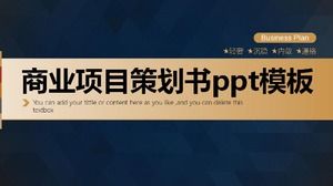 大气简洁的商业项目策划书ppt模板