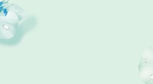 简单清新的荷花万能ppt模板