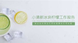精美小清新报告ppt模板