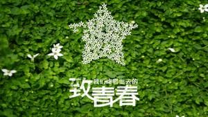 Brown einfach und jugendlich 20 Jahre Klassenkamerad, der dynamische ppt-Vorlage sammelt