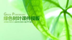 Yeşil yapraklar öğretim ve konuşma dersi ppt şablonu