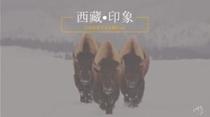 一個以旅遊景點為主題的ppt模板_西藏印象