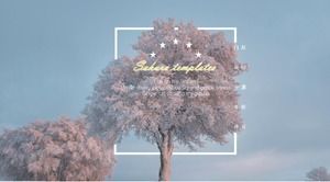 절묘한 패션 월간 작업 보고서 PPT 템플릿