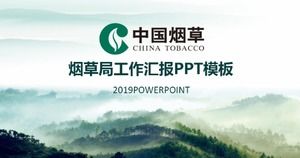 Modèle de résumé de travail du Bureau du tabac ppt