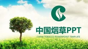 Governança do mercado de cigarros ppt