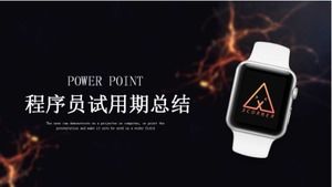 Programmer trial period summary ppt template