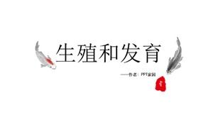 初中生物PPT课件：再现与发展图片