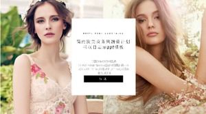 Simple European and American business venture financing plan project display ppt template