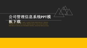 公司管理信息系統PPT模板下載