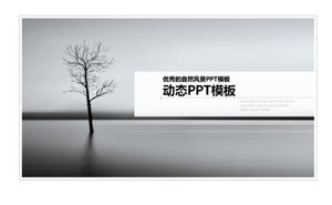 优秀的自然风光PPT模板