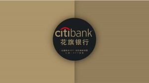 الخطاب المالي PPT- خلفية قالب البني