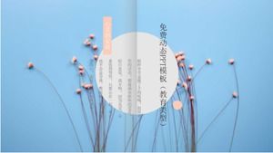 قالب PPT ديناميكي مجاني (نوع تعليمي)