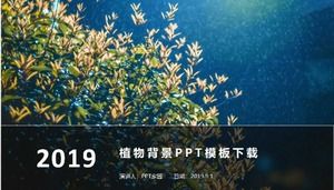 Скачать шаблон PPT фона растений